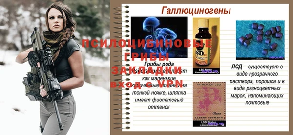 мескалин Арсеньев