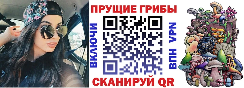 ссылка на мегу как зайти  Пугачёв  Галлюциногенные грибы прущие грибы 